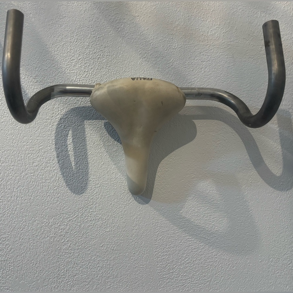 Unique Wall Decor with Bicycle Seat and Handlebar "euro mount antler style"